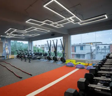 bizzoppo interiors